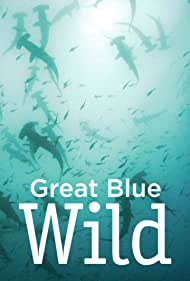 Смотреть Great Blue Wild (2015) онлайн в Хдрезка качестве 720p