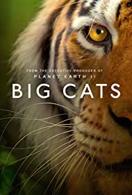 Смотреть Big Cats (2018) онлайн в Хдрезка качестве 720p